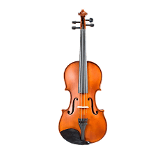 Violon